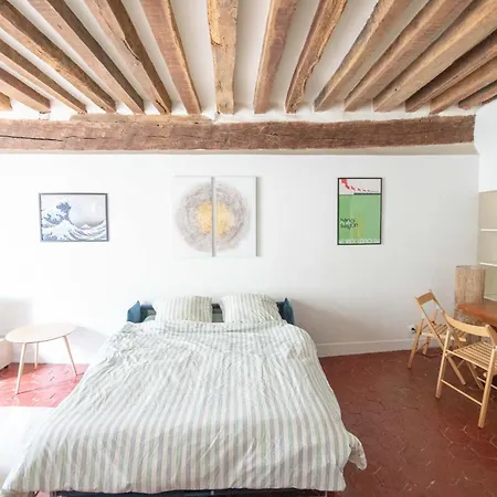 Apartment Magnifique Au Centre De Paris Saint-Louis (Haut-Rhin)